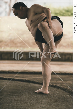 Sumo wrestling Sumo wrestling 42118010