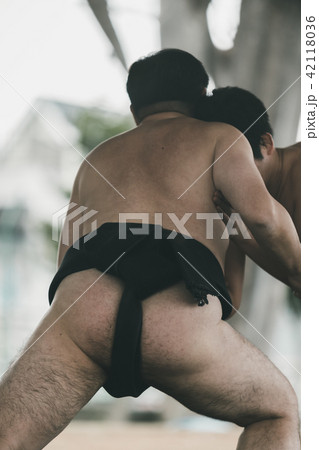Sumo wrestling 42118036