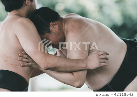 Sumo wrestling 42118042