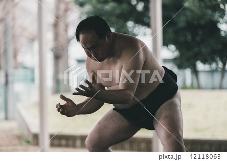 Sumo wrestling 42118063