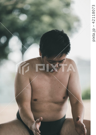 Sumo wrestling Sumo wrestling 42118073