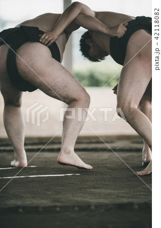 Sumo wrestling Sumo wrestling 42118082