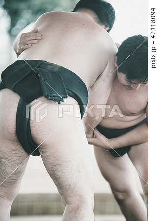 Sumo wrestling 42118094