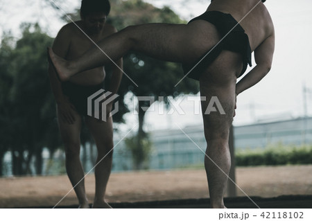 Sumo wrestling Sumo wrestling 42118102