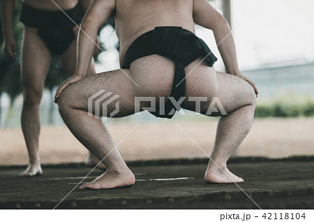 Sumo wrestling 42118104