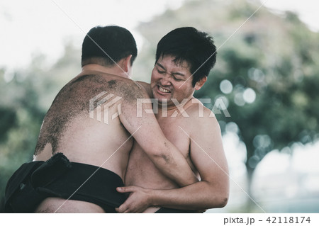 Sumo wrestling 42118174
