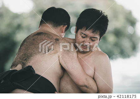 Sumo wrestling 42118175