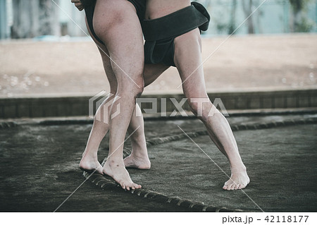 Sumo wrestling 42118177