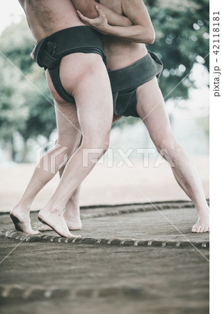 Sumo wrestling 42118181