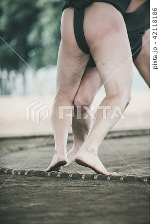 Sumo wrestling Sumo wrestling 42118186