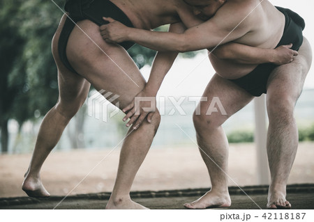 Sumo wrestling 42118187
