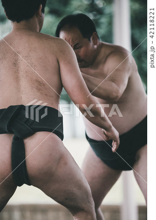 Sumo wrestling Sumo wrestling 42118221