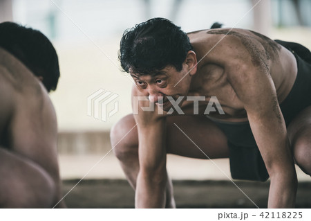 Sumo wrestling 42118225