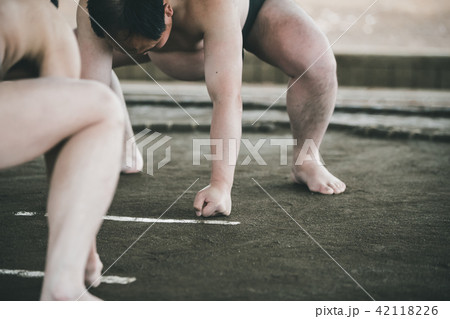 Sumo wrestling 42118226