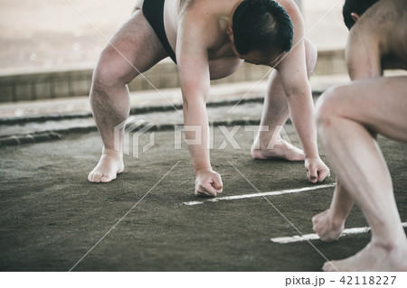 Sumo wrestling Sumo wrestling 42118227