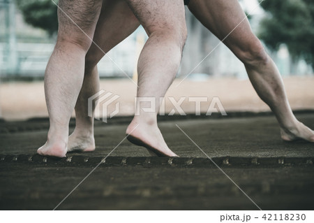 Sumo wrestling 42118230