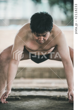 Sumo wrestling 42118233