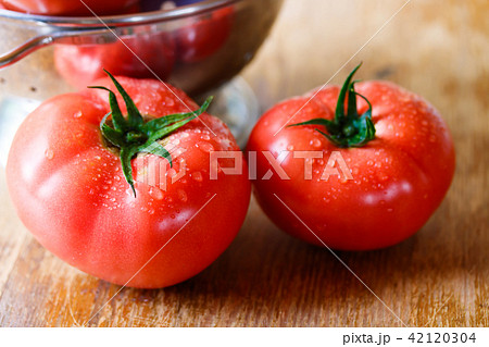 トマト 42120304