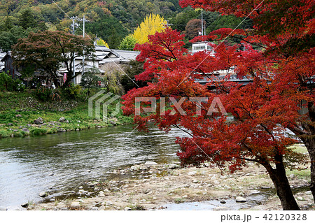 香嵐渓 紅葉 香嵐渓 紅葉 42120328