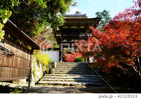 長岳寺　紅葉 42120533