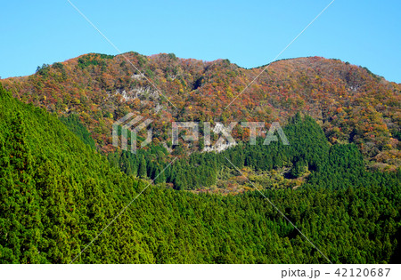 香落渓　紅葉 42120687