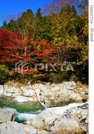 香落渓 紅葉の写真素材