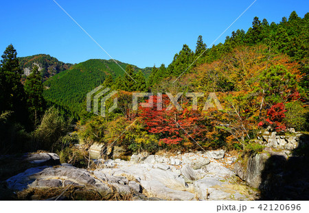 香落渓 紅葉の写真素材