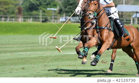 horse speed in polo match horse speed in polo match 42120730