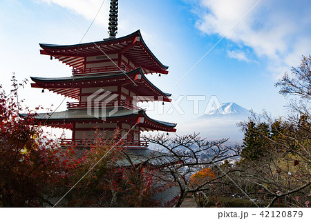 新倉山浅間公園・秋・五重の塔・富士山 新倉山浅間公園・秋・五重の塔・富士山 42120879