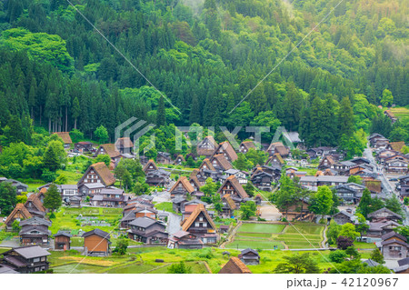 Historical Japanese village Shirakawago in Gifu Pr Historical Japanese village Shirakawago in Gifu Pr 42120967