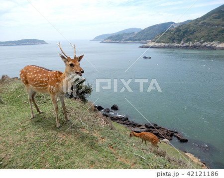 台湾 馬祖 マリーナ 42121186