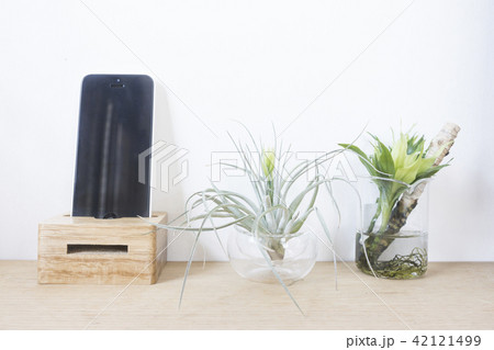 携帯 携帯電話 ケイタイ 42121499