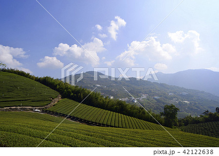 農耕 農業 農産物 42122638