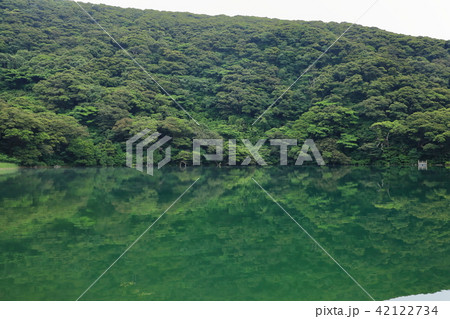 三宅島 大路池 三宅島 大路池 42122734