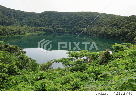 三宅島 大路池 三宅島 大路池 42122740