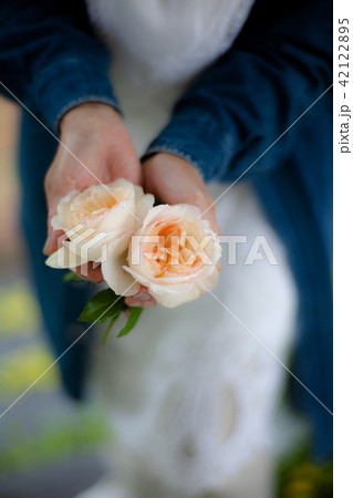 アトリエ麓郷の薔薇 42122895