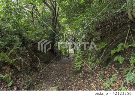 名越切通し～大町口より（鎌倉市大町～逗子市久木） 42123256