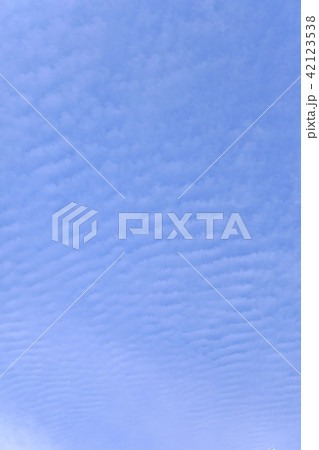 青空 42123538