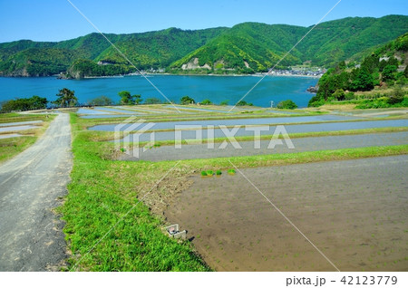 田烏の棚田 42123779