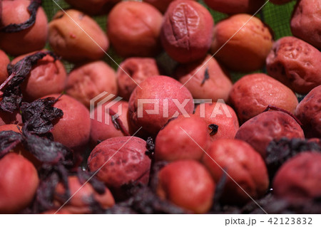 梅干しの天日干し 42123832