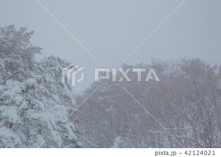 雪景色 雪景色 42124021
