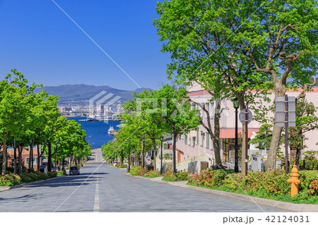 函館_快晴の八幡坂 42124031