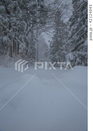 雪景色 雪景色 42124043