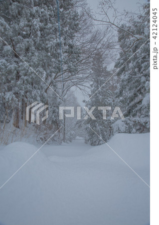 雪景色 雪景色 42124045