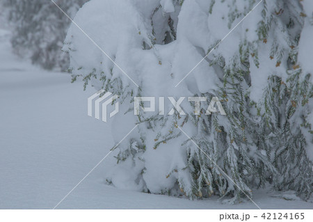 雪景色 42124165