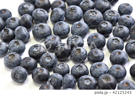 ブルーベリー ブルーベリー 42125243