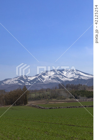 道東の春　海別岳　北海道　畑 42125254