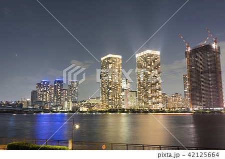 豊洲ぐるり公園から望む晴海方面の夜景の写真素材