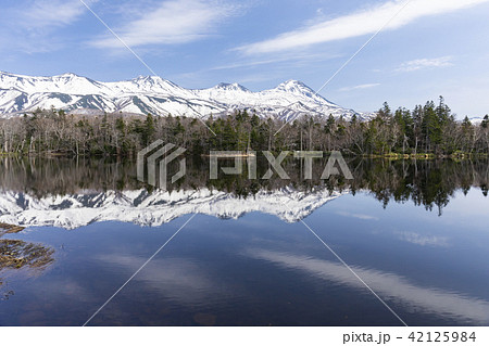 絶景　知床五湖 42125984
