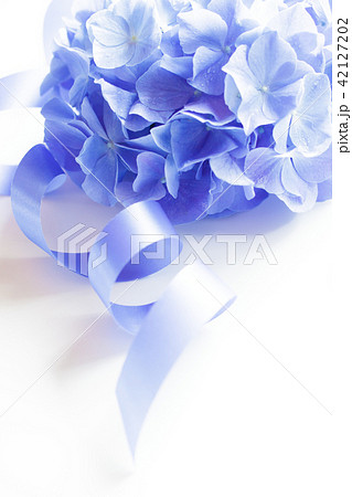 あじさい あじさい 42127202